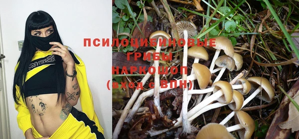 трава Волоколамск