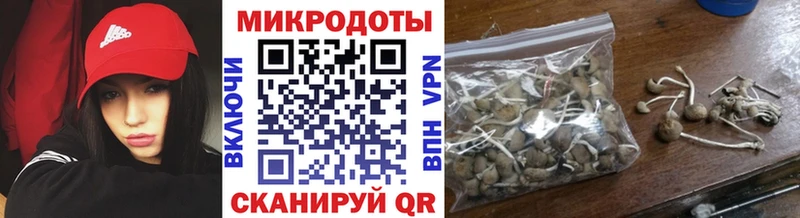omg сайт  как найти наркотики  Екатеринбург  Галлюциногенные грибы мицелий 