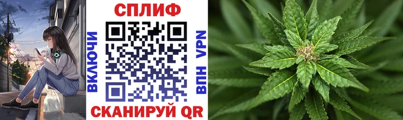 магазин продажи   Екатеринбург  Каннабис сатива 